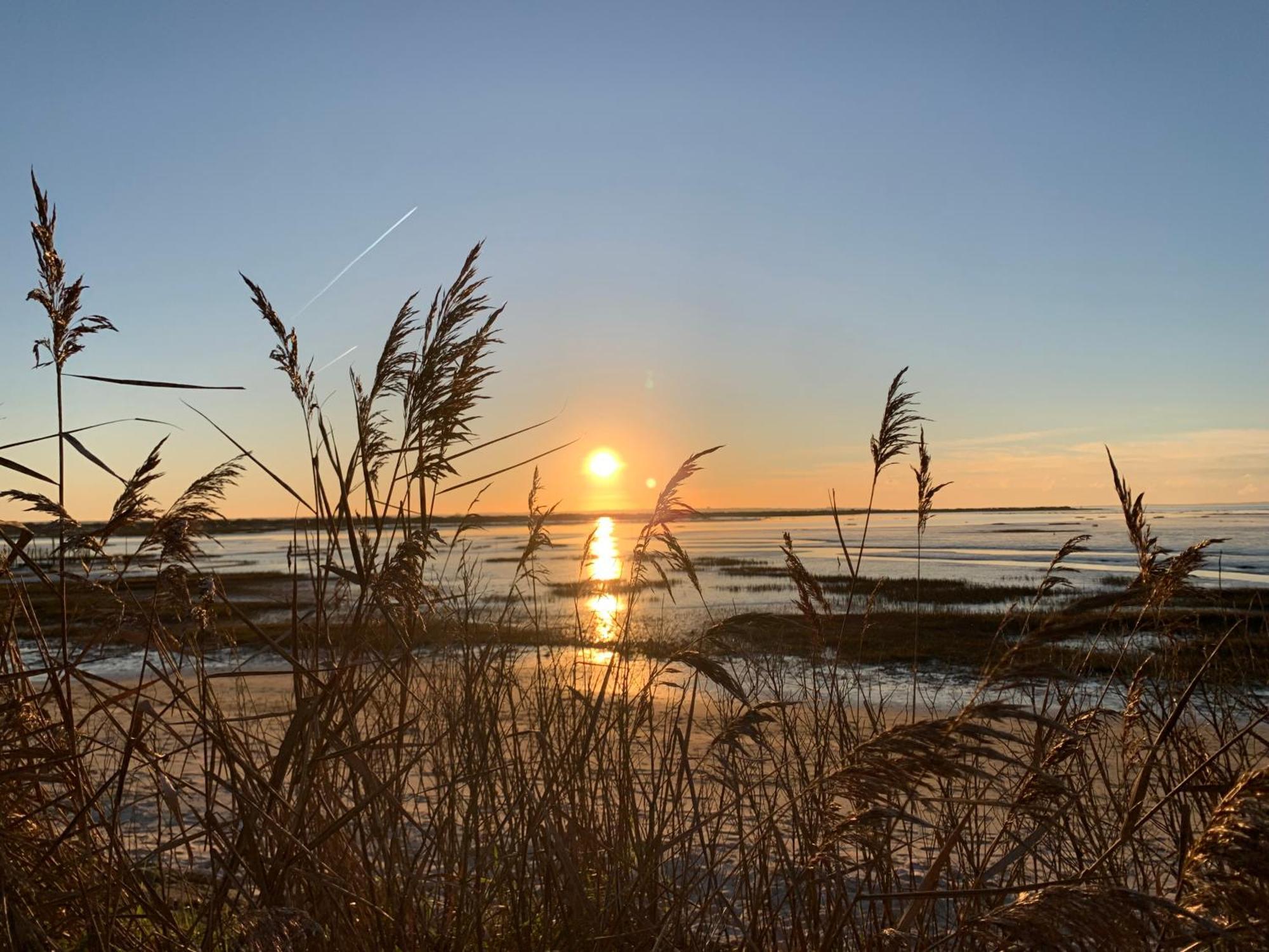 La Villa Des Trois Pins Andernos-les-Bains Buitenkant foto
